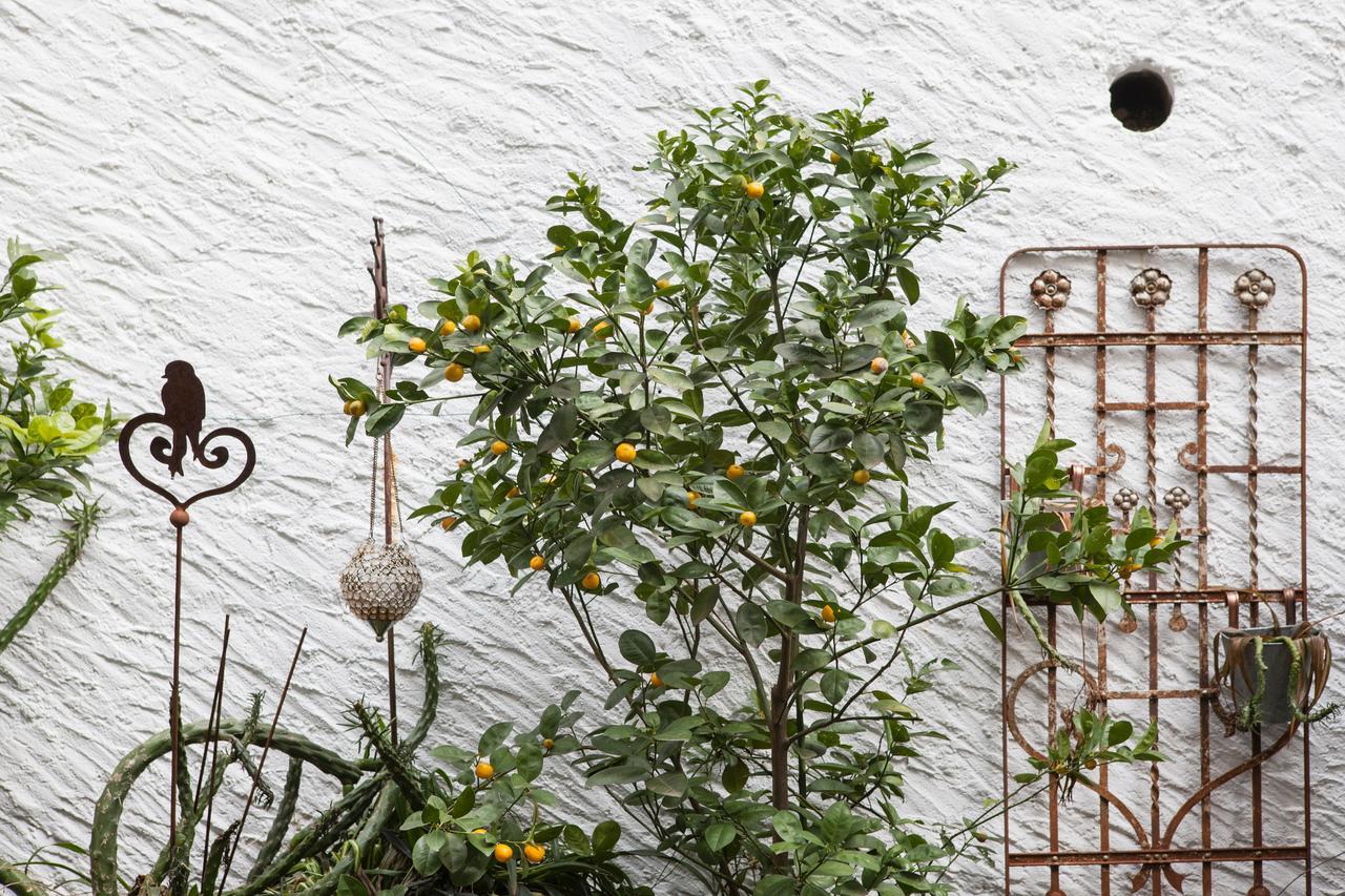 Caffe Dell'Arte Boutique Rooms Locarno Exterior photo